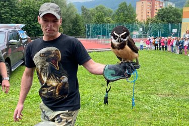 Obrázek č.40